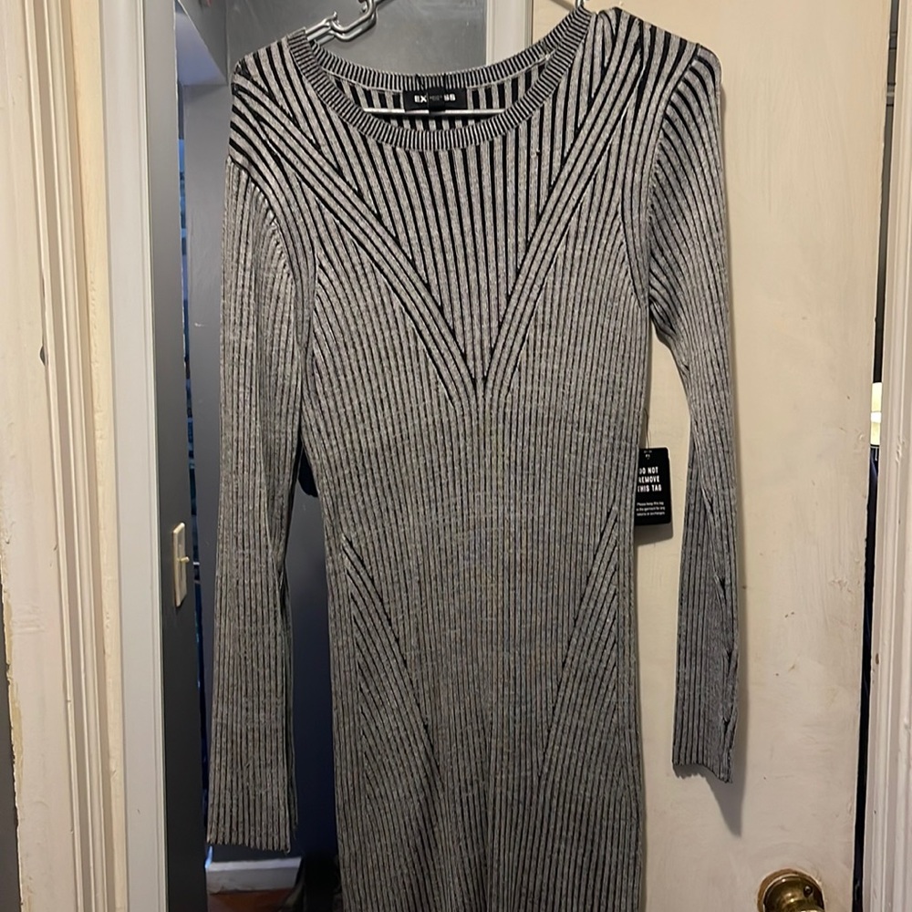 Express long sleeved dress